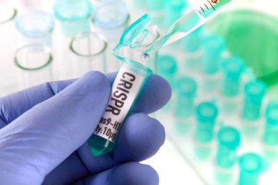 Laboratory photo of gloved hand working with beakers
