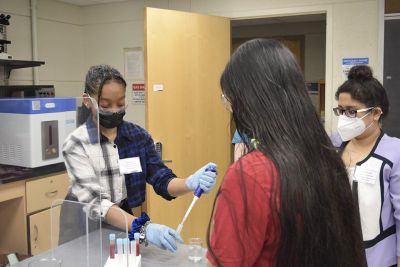 Biomedical Engineering Experience