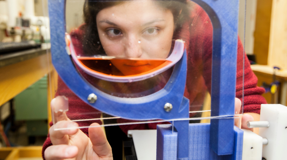 International Engineering (BA/BS) Dual Degree Program Widener University