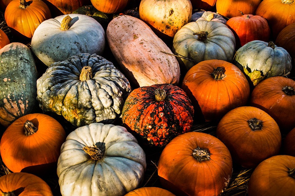 Halloween pumpkins