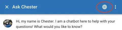change languages chatbot