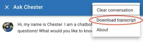 How to save chatbot conversation 