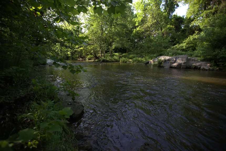 river at arboretum 
