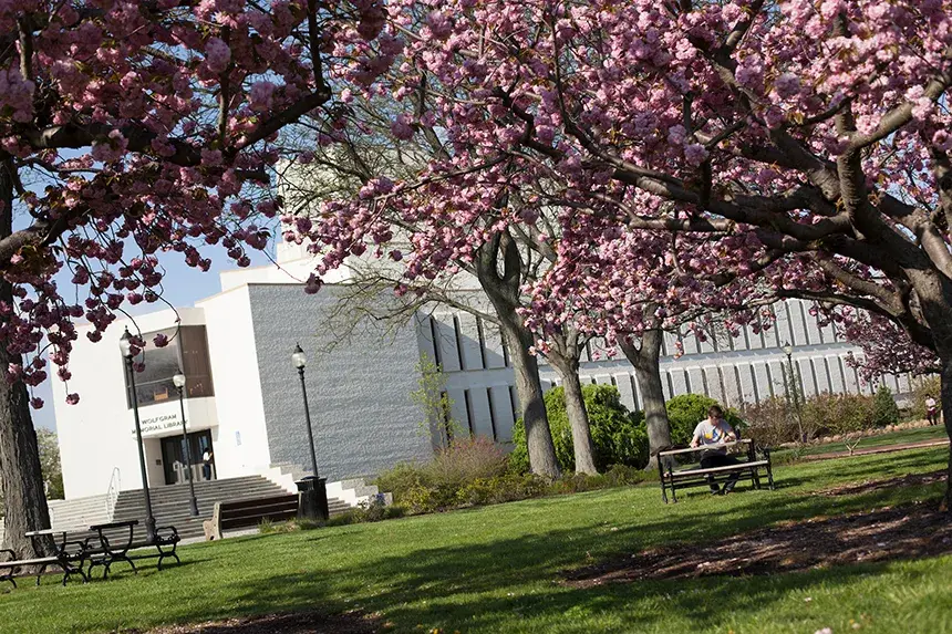 Library in Spring 