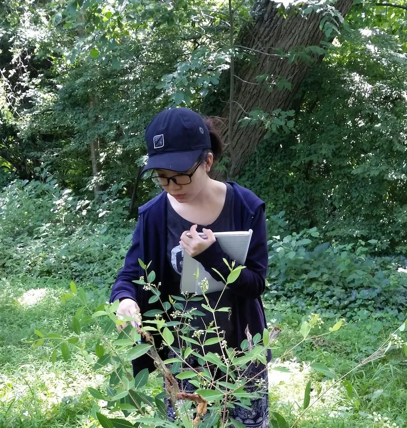 Summer Research 2016 at Taylor Arboretum