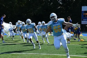 Football team on the field 