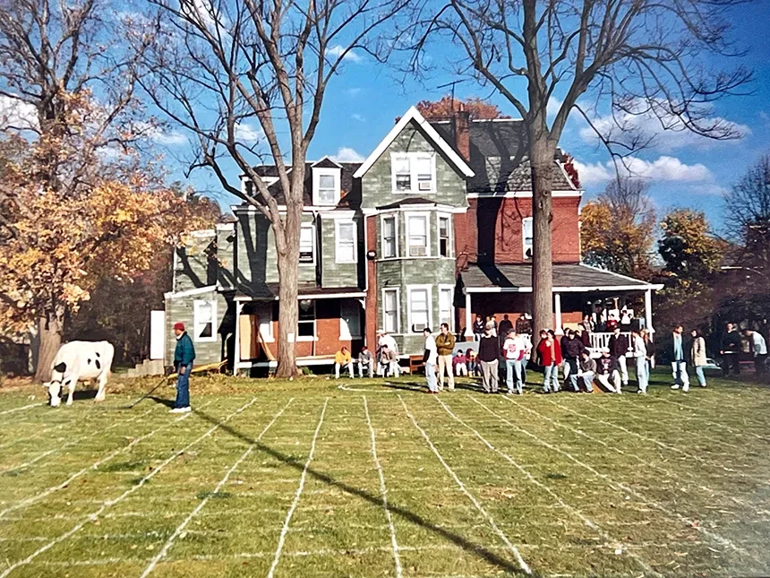 A cow on grass with a grid painted on it, as a group of students stands nearby