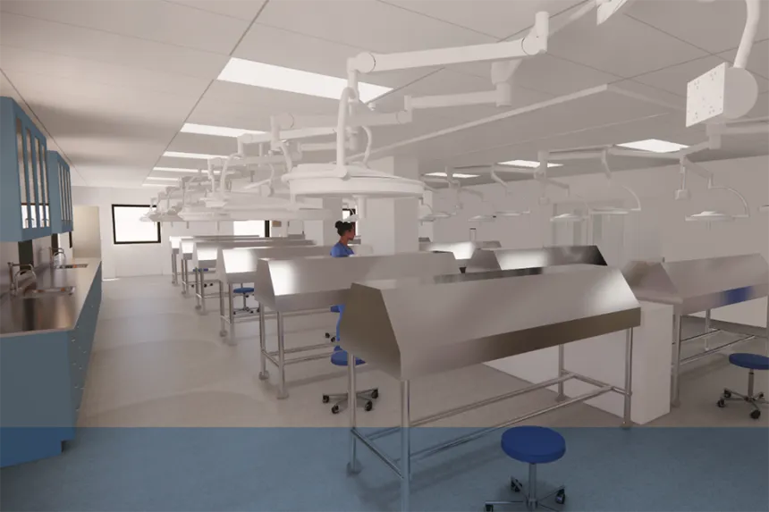 Artist rendering on an anatomy lab with rows of tables