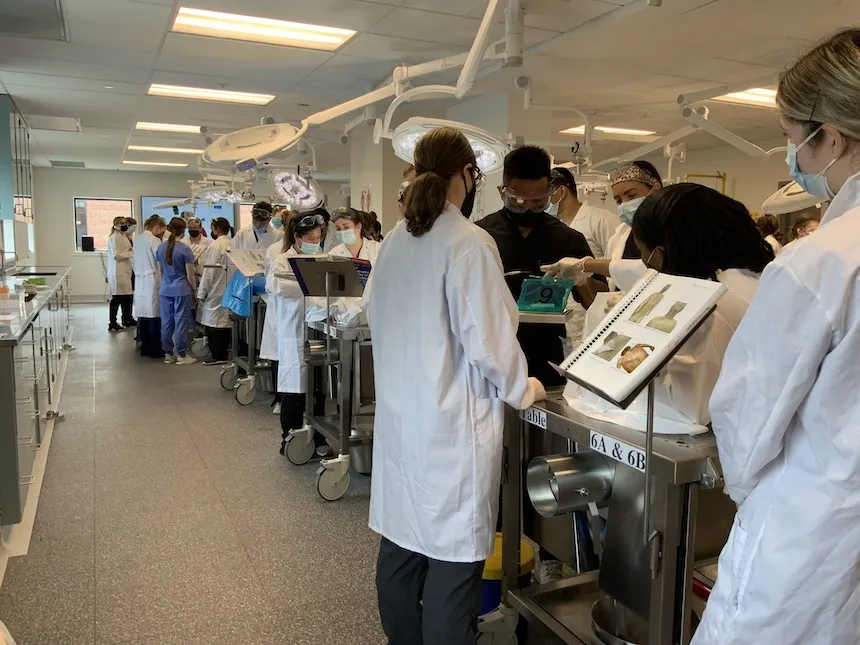 clinical anatomy lab in session 860x645