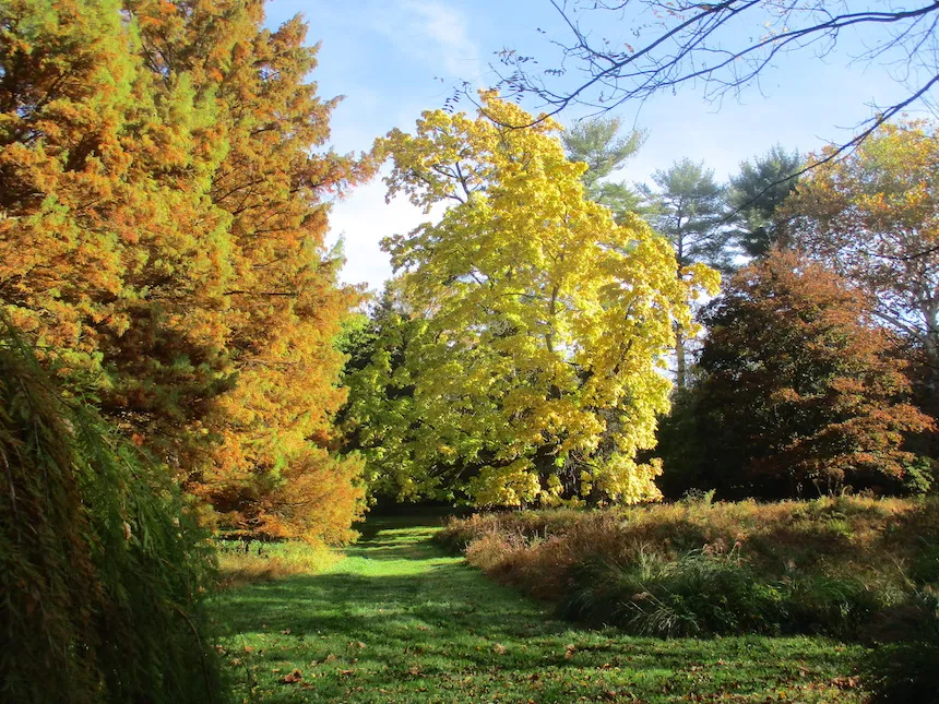 fall at the taylor memorial arboretum