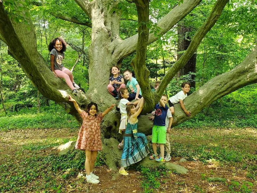 Taylor Arboretum Walden Kindergarten Class