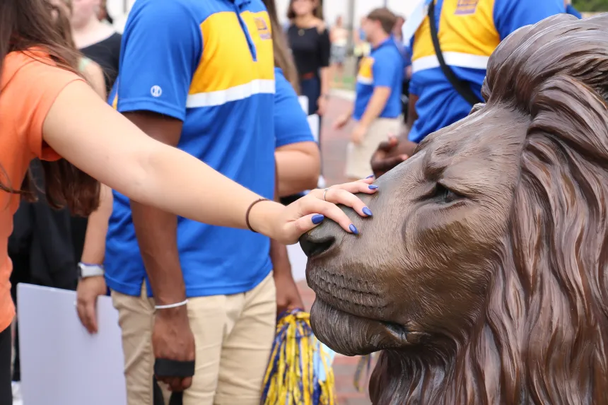 A hand rubs the nose of a lion statue