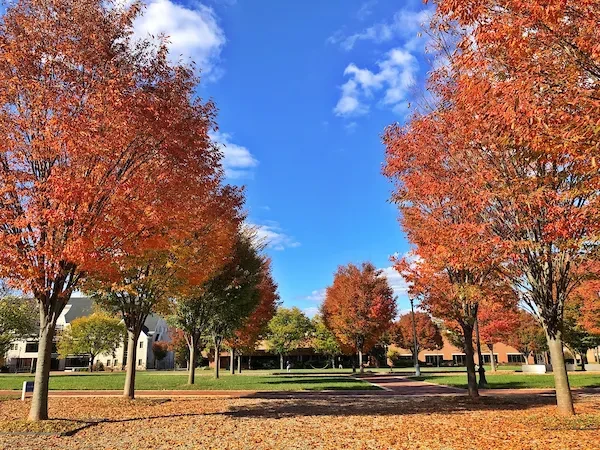 memorial field in fall with changing leaves on widener campus near philadelphia 