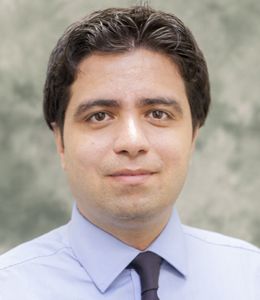 Amir M. Amiri