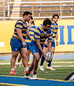 Four men's rugby players on the field in yellow and blue striped shirts; one is holding a rugby ball in his hands