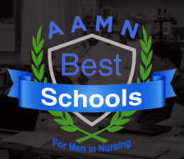 AAMN Best Schools for Nursing Logo