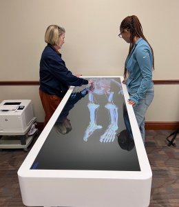 Faculty and student looking at Anatomage Table