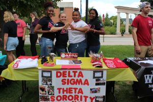 FSL Fraternity & Sorority 300x200 FSL Fraternity & Sorority