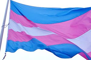 transgender flag