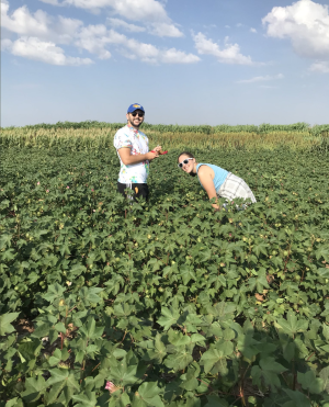 Biology Alumnus Evan Perkowski conducts field work