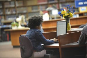 widener student studying at the library on a computer