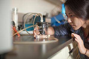Biology student observing turtle in lab
