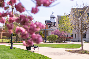 Widener campus in spring