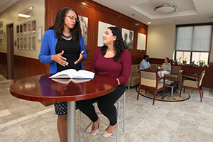 Faculty mentoring student