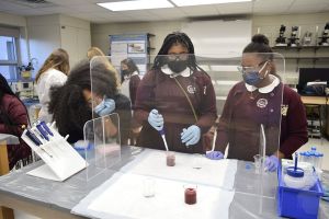Engineering Mini-camp