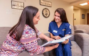 nursing faculty mentors bsn nursing student