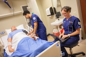 Widener graduate nursing msn