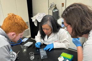 biomedical engineering faculty mentorship 300x200 Widener biomedical engineering students working with a faculty member
