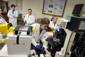 biomedical engineering research 300x200 Widener biomedical engineering graduate students conducting research