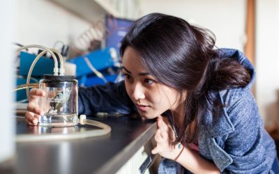 Biology Student Studying Turtles
