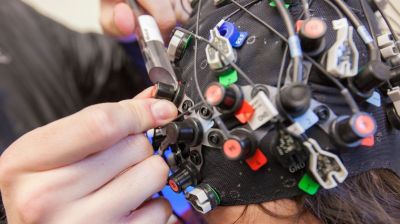 Entering the biomedical engineering graduate program at Widener University will expose you to a variety of research opportunities. Those who have earned their master's in biomedical engineering have entered a variety of fields including neuroscience.