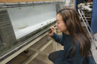 Biology student looking at fish