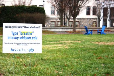 Lawn signs on campus