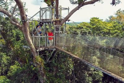 Stephen Madigosky and students conduct research in the Amazon
