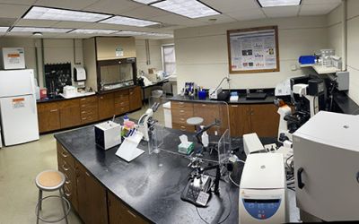 Widener's Microfluidic Lab for Biomedical Engineering contains a variety of tools for cell culture and biochemical analysis. 