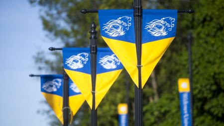 Flags at Pride Island