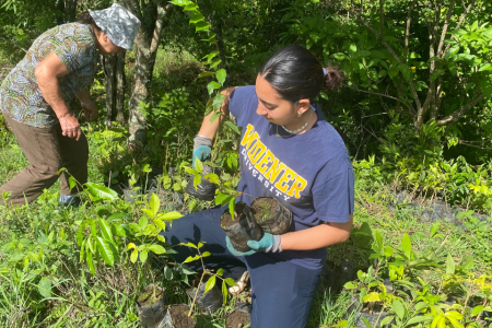 Jenna Waldron holds three small tree saplings in her arms with the jungle behind her