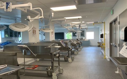 clinical anatomy lab 480x300 clinical anatomy lab 480x300