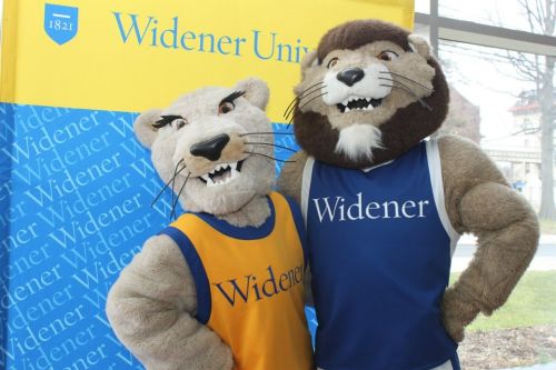 widener mascots melrose chester