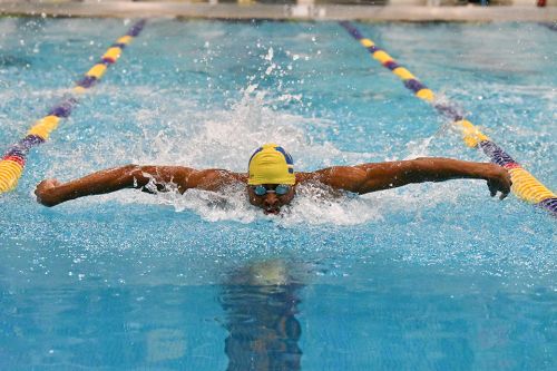 Athletic Milestones Swimmer