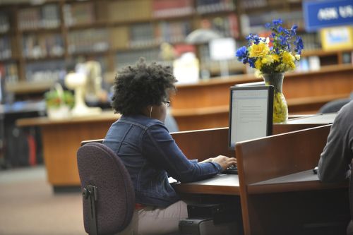 widener student studying at the library on a computer