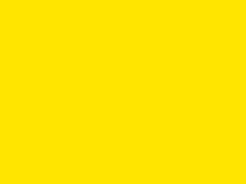 widener brand yellow
