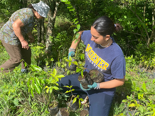 Student Jenna Waldron holds three small tree saplings in her arms with the jungle behind her