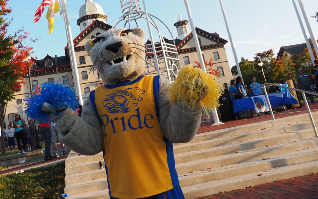 mascots