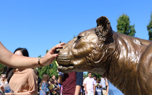 touch Widener lion pride statue for good luck