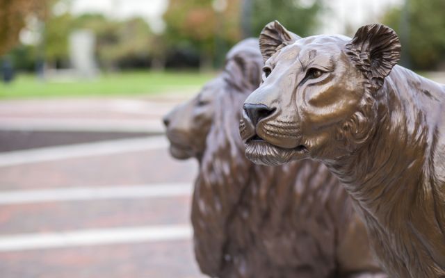 Pride Lions Campus Shot
